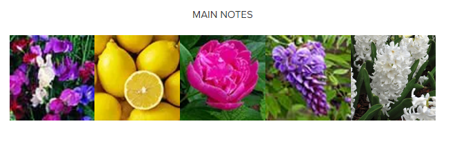 carven notes