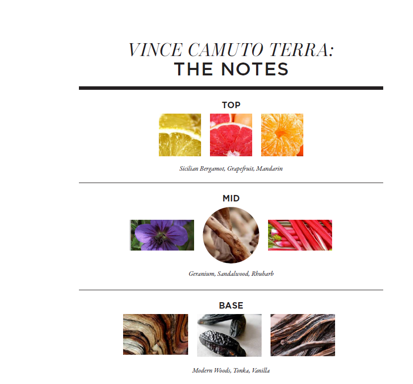 Introducing: Ciao and Terra, New Fragrances by Vince Camuto - Scentbird ...