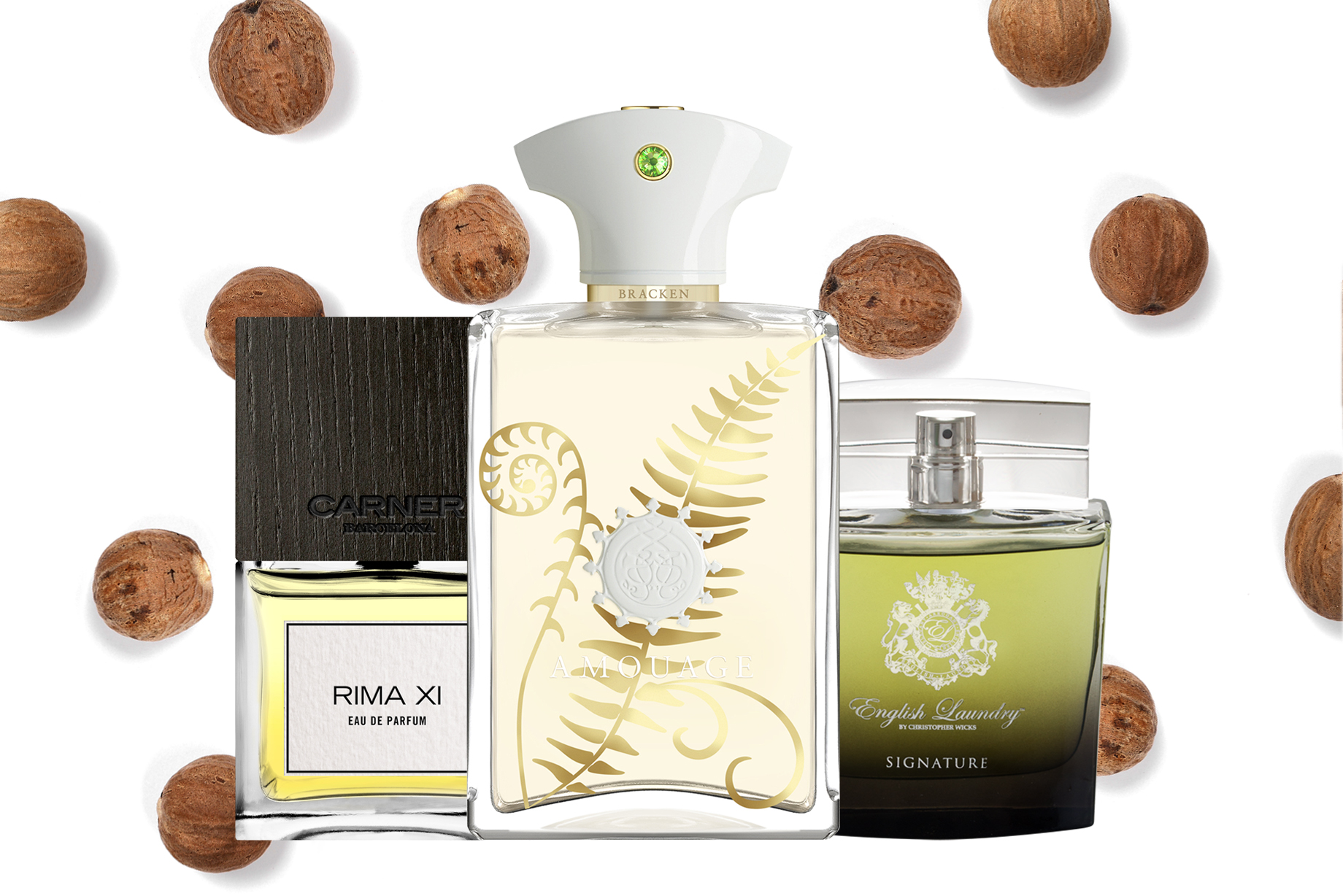 The scent of Christmas joy Nutmeg Scentbird Blog