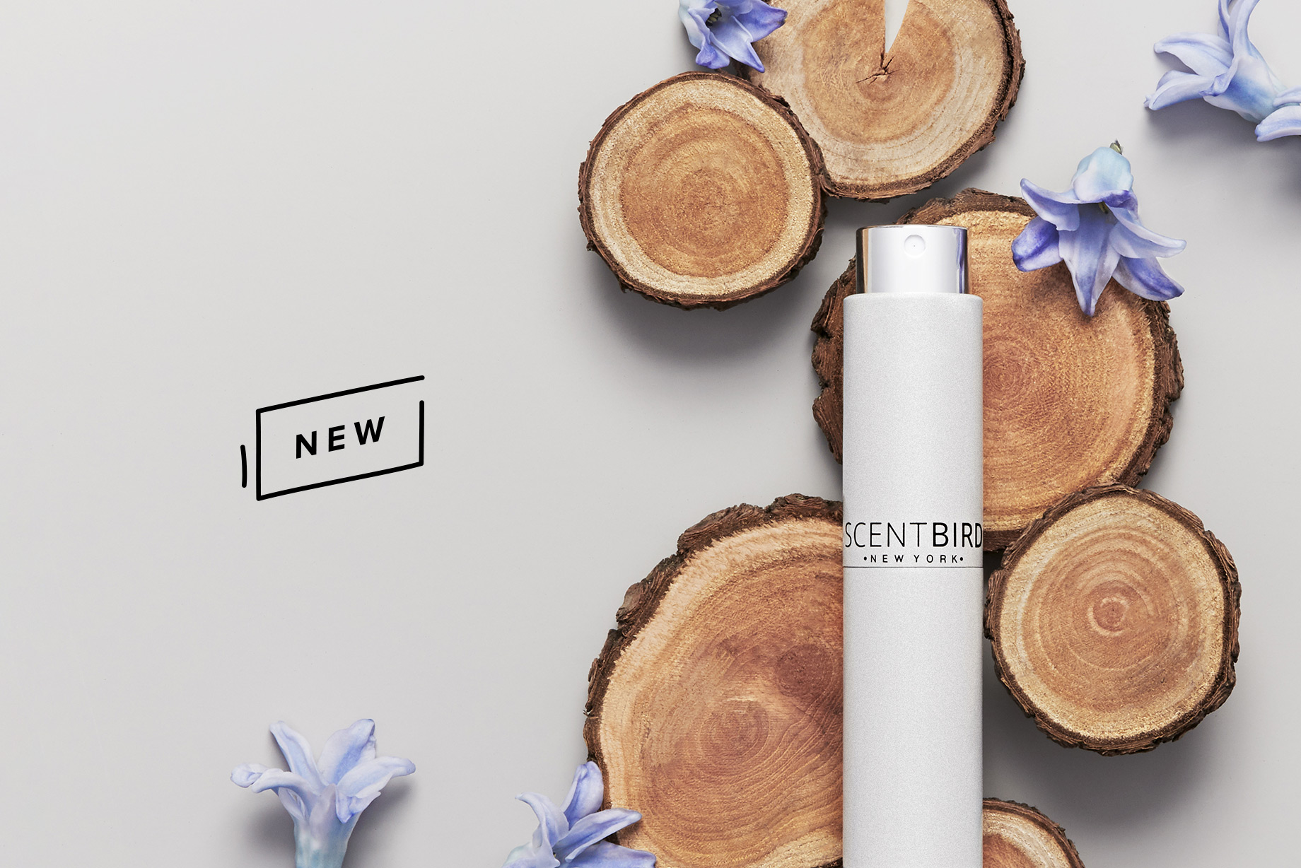 Scentbird’s Most Want Fragrance Scentbird Blog