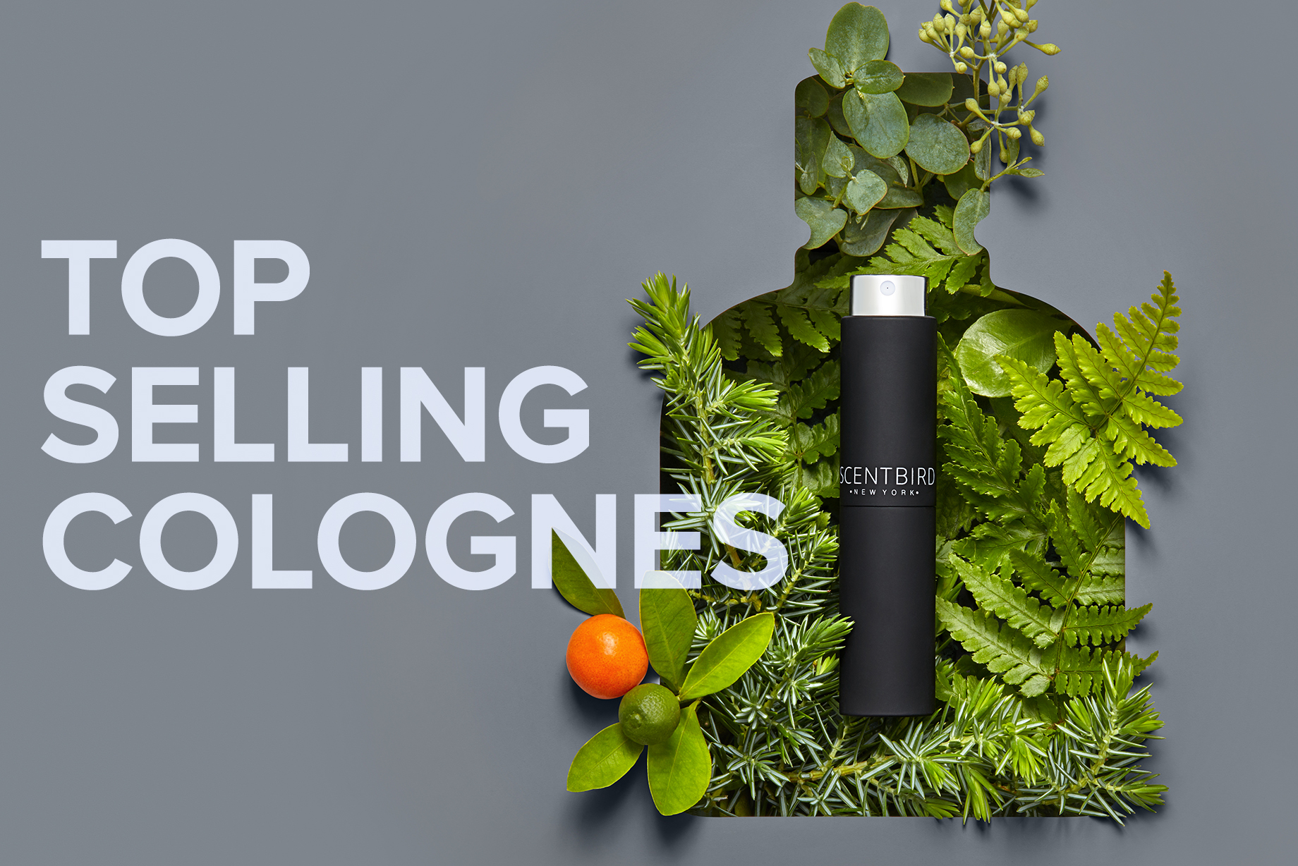 Top 4 Bestselling Colognes in June 2020 Scentbird Blog