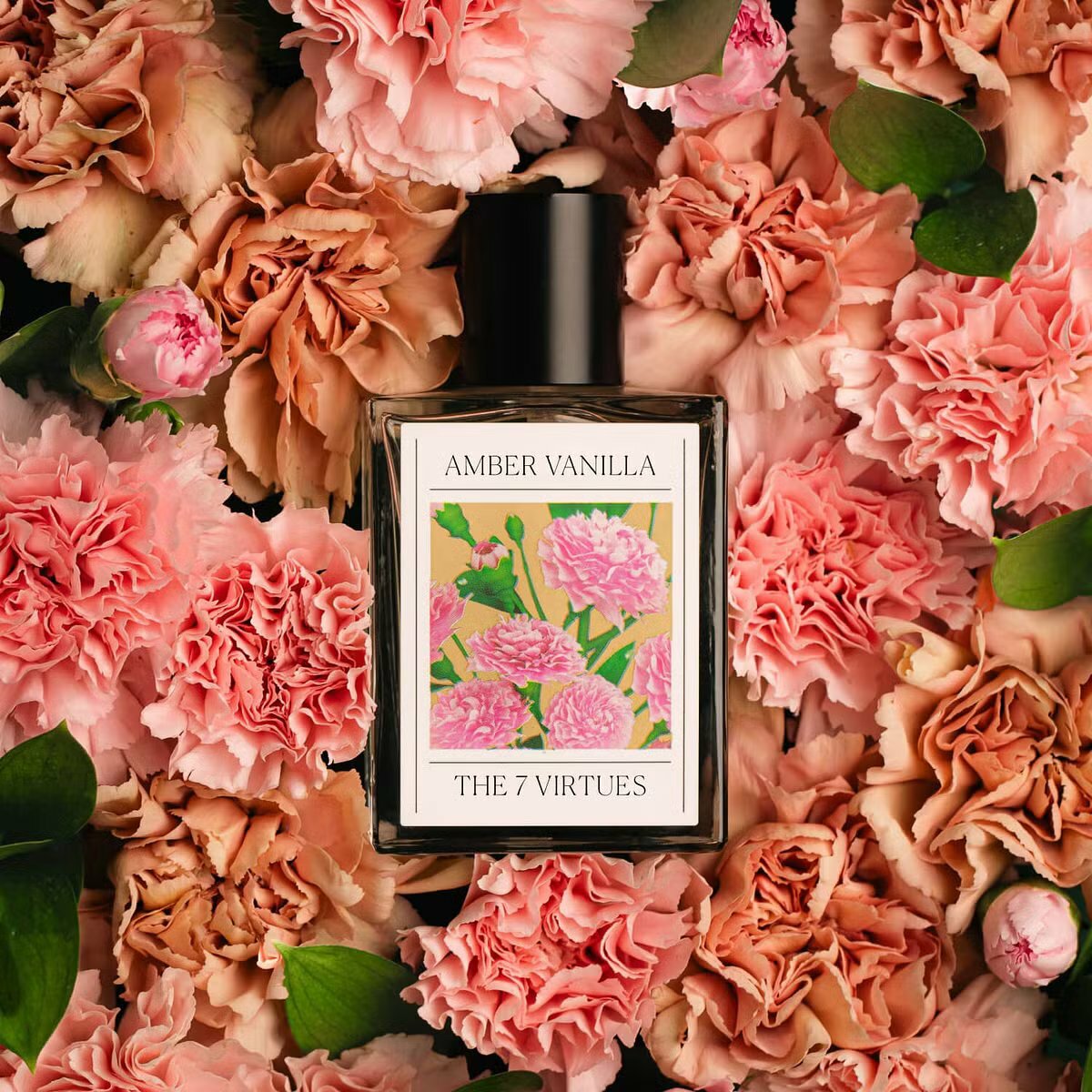 Fragrance of the Month The 7 Virtues Vanilla Amber – Scentbird Blog