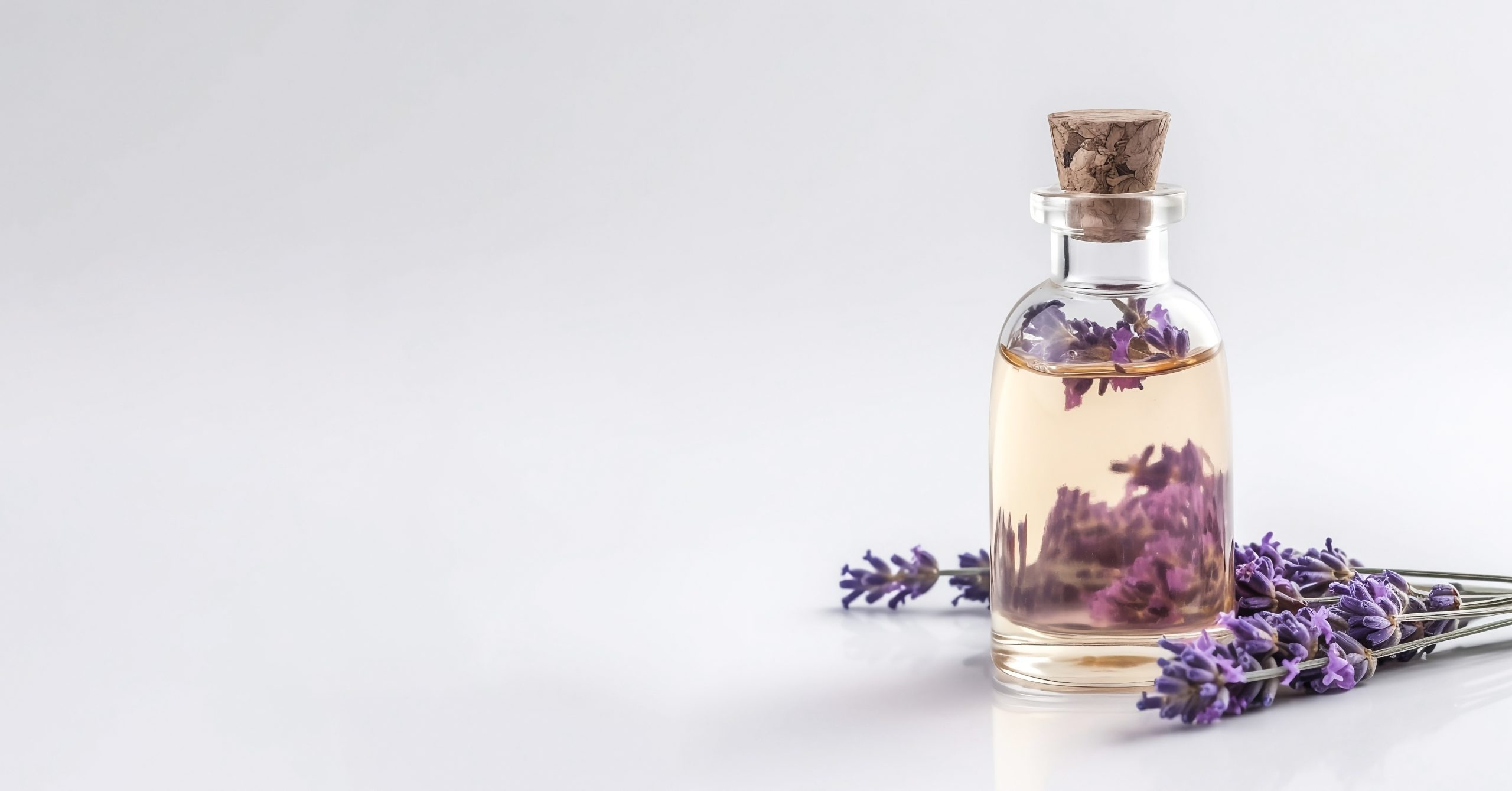 What does tonka bean smell like? Spritz these perfumes and find out!