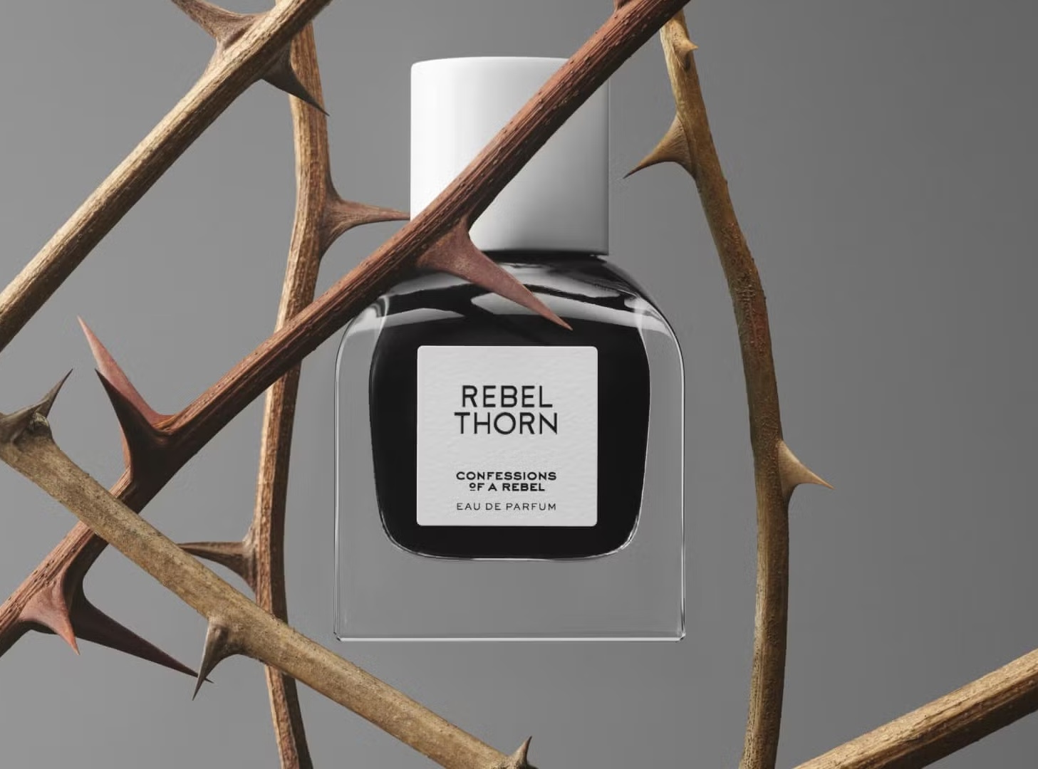 January 2025 Perfumes And Cologne Of The Month Scentbird Blog Img 1731683936552 Copy