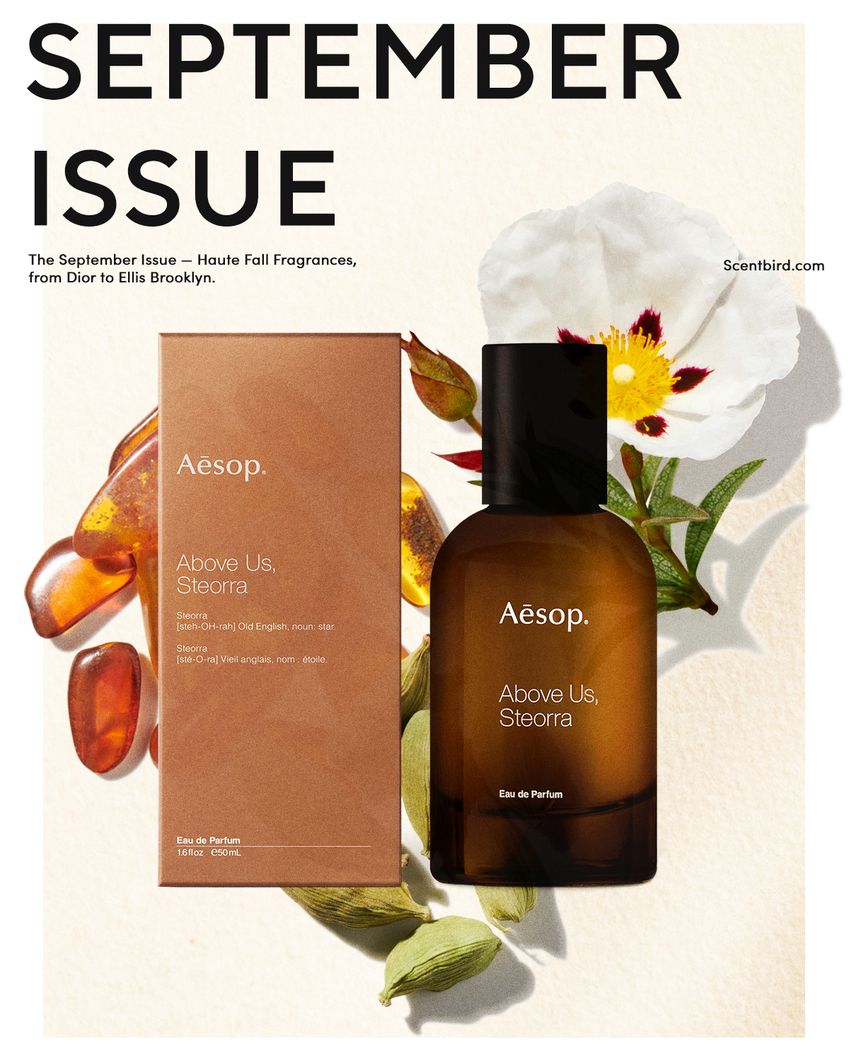Scentbird’s September Issue – Scentbird Blog