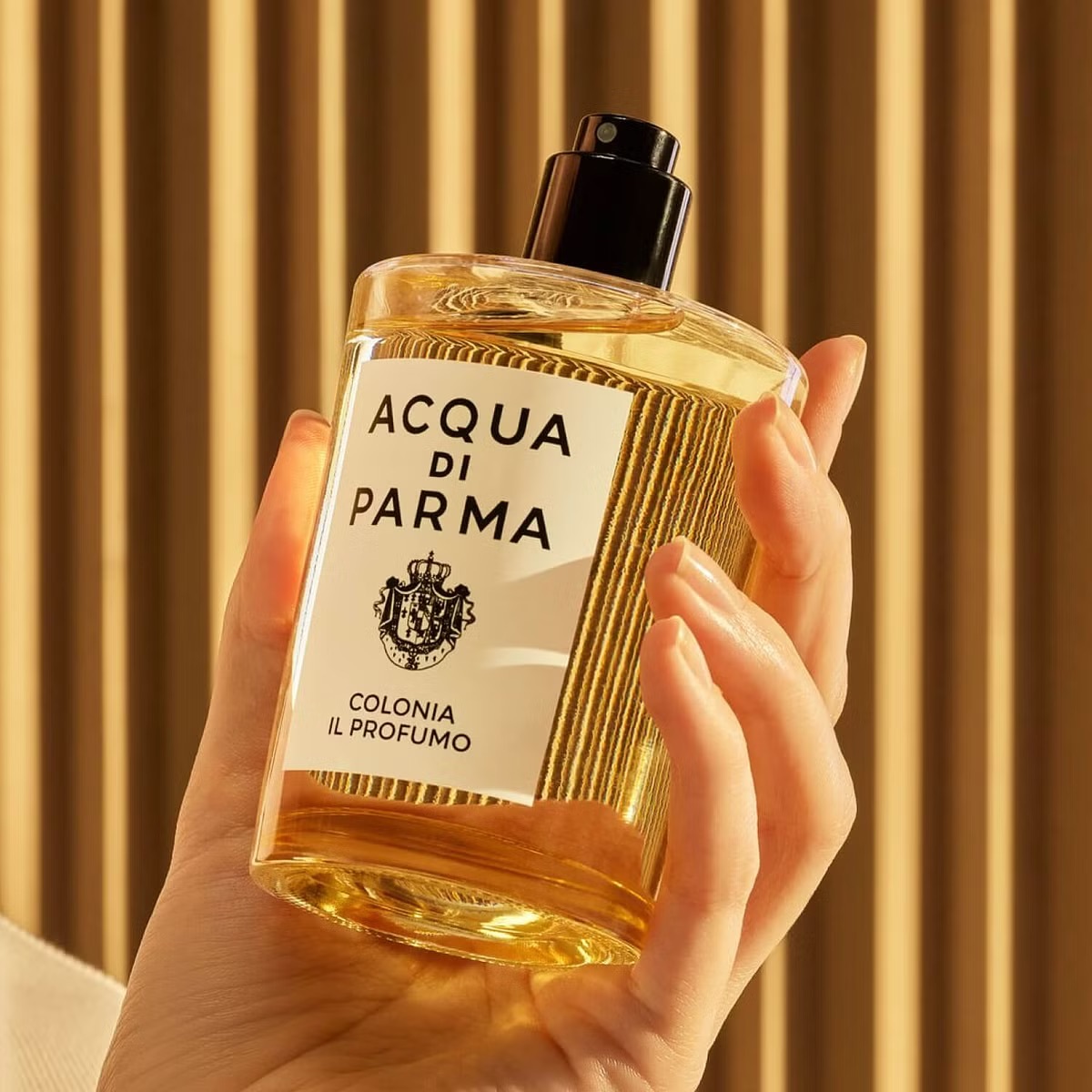 A Century of Sunlight: The Story of Acqua di Parma’s Colonia Il Profumo ...